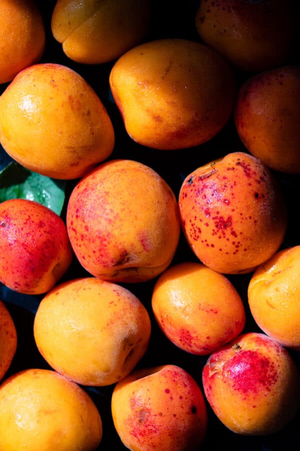 Upside Down Apricot Snacking Cake KateCooks